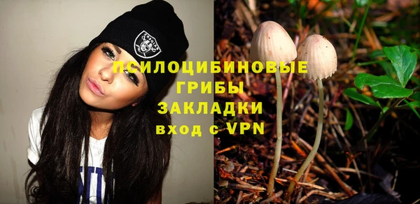 МДПВ Абаза