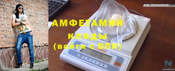 МДПВ Абаза
